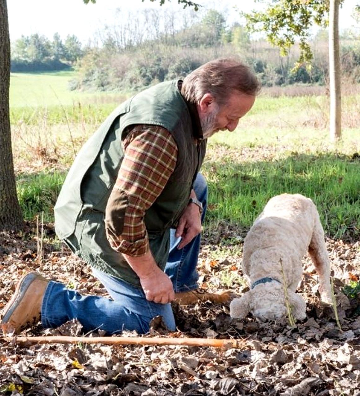 Tartufaio che scava con il cane